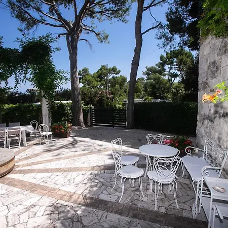 Del Mare - Numana, Meravigliosa A 100mt Dal Mare Appartement *