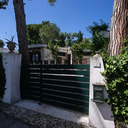 Del Mare - Numana, Meravigliosa A 100mt Dal Mare