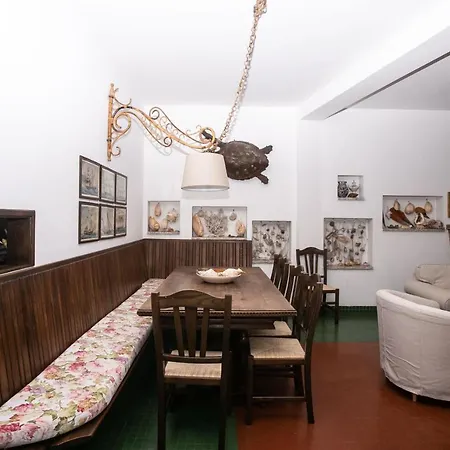 Del Mare - Numana, Meravigliosa A 100mt Dal Mare Numana